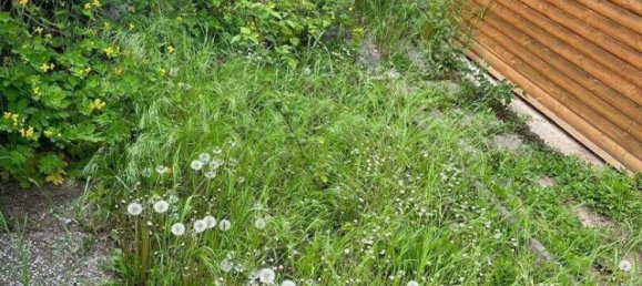 Studio à Simmering, Austria No. 246935 5