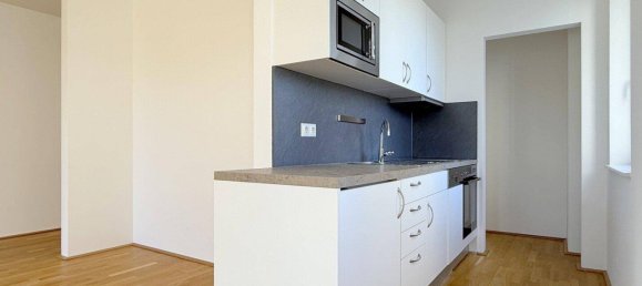 Estudio en Fels am Wagram, Austria No. 233972 5