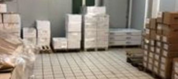 789m² Warehouse in Cosio Valtellino, Italy No. 257680 13