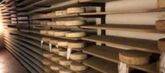 789m² Warehouse in Cosio Valtellino, Italy No. 257680 4