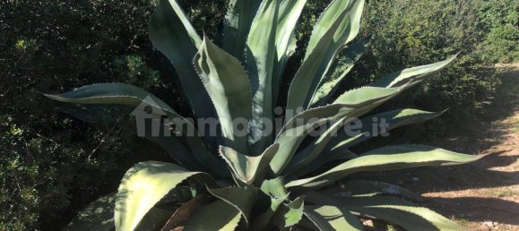 Квартира с 2 спальнями в Капальбио, Италия № 62402 25