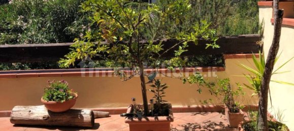 Квартира с 2 спальнями в Капальбио, Италия № 62402 34