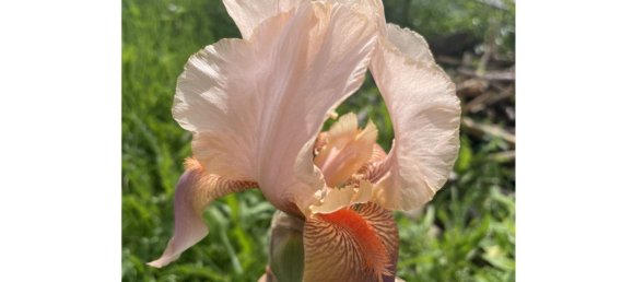 3-Zimmer Bungalow in Main-Spessart, Germany, Nr. 269439 19