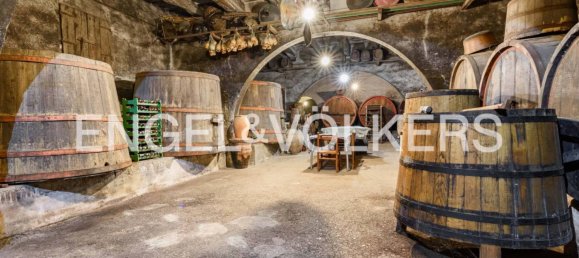 Вилла с 7 спальнями в Монтополи ин Валь д’Арно, Италия № 38878 12