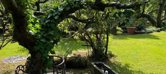 Grundstück in Deutschfeistritz, Austria, Nr. 244637 2