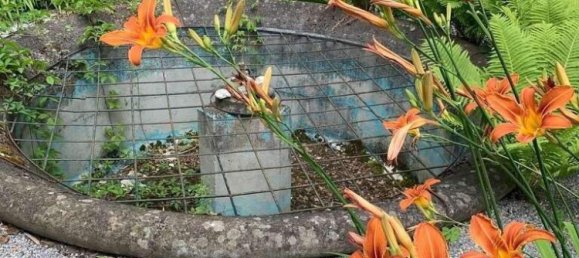 Grundstück in Deutschfeistritz, Austria, Nr. 244637 9