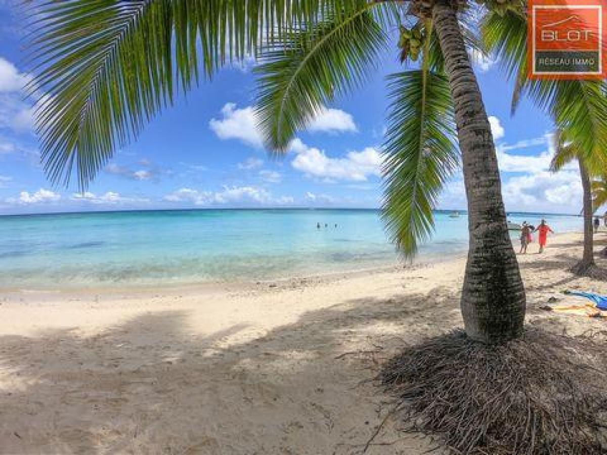 Studio-Eigentumswohnung in Lattes, France, Nr. 35887