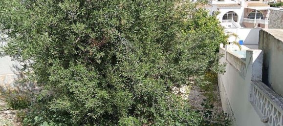 2 bedrooms House in Torrevieja, Spain No. 191289 43