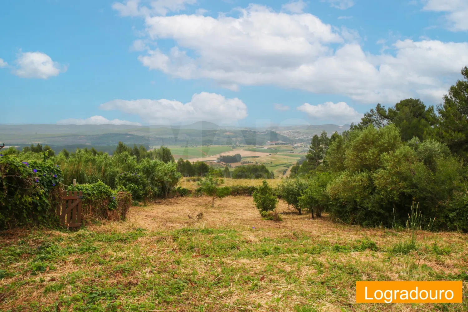 6 bedrooms House in Alenquer, Portugal No. 213975