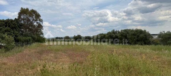 3 chambres Villa à Gioia del Colle, Italy No. 267693 6