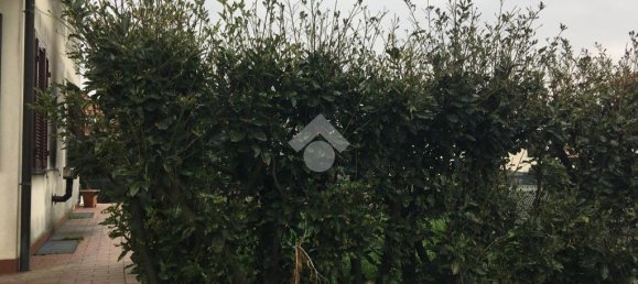 2 bedrooms Villa in Cuceglio, Italy No. 218839 3