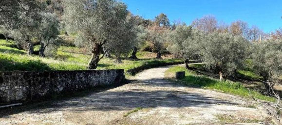 7 bedrooms Villa in Squillace, Italy No. 191381 27