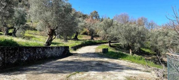 7 bedrooms Villa in Squillace, Italy No. 191381 22