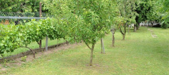 5-salle Maison à Hornstein, Austria No. 140826 15