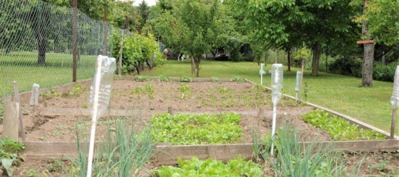 5-salle Maison à Hornstein, Austria No. 140826 16