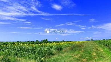 Grundstück in Winden am See, Austria, Nr. 204900
