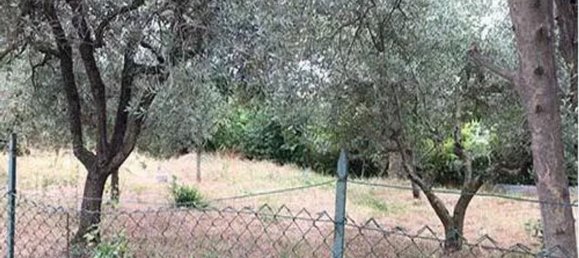 7-Zimmer Haus in Maltignano, Italy, Nr. 281228 6