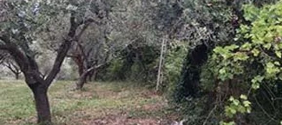 7-Zimmer Haus in Maltignano, Italy, Nr. 281228 2