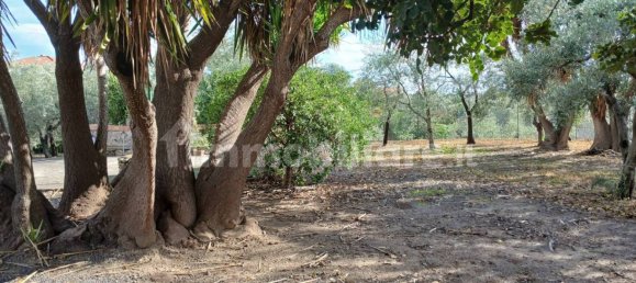2 Schlafzimmer Villa in Misterbianco, Italy, Nr. 48731 8