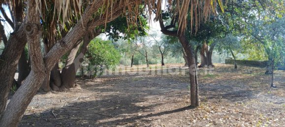 2 Schlafzimmer Villa in Misterbianco, Italy, Nr. 48731 7