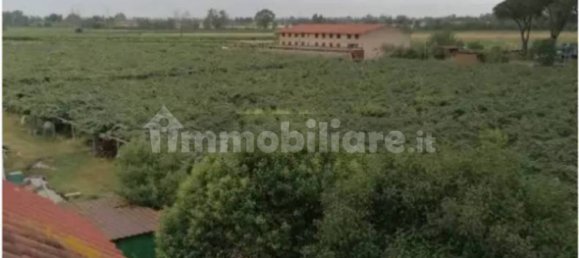 Studio à Latina, Italy No. 116947 4