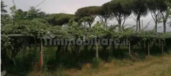 Studio à Latina, Italy No. 116947 3