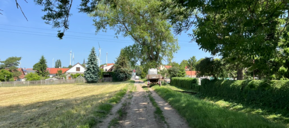 5 غرف نوم منزل في Gotha, Germany رقم 233778 8