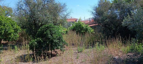 5 Schlafzimmer Haus in Tolosa, Portugal, Nr. 26165 26