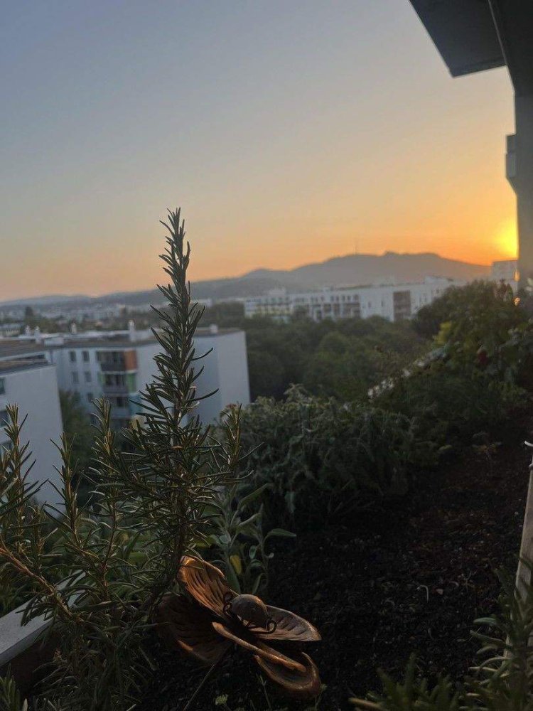 3-Zimmer Wohnung in Wien, Austria, Nr. 261224