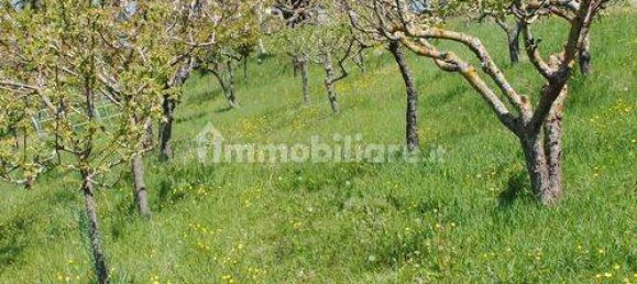 1986m² Land in Castel d'Aiano, Italy No. 82677 5
