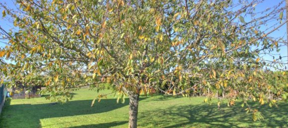 Terrain à Gidy, France 674m² No. 251398 4