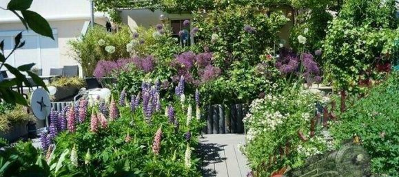 4-salle Maison de ville à Brunn am Gebirge, Austria No. 242868 3