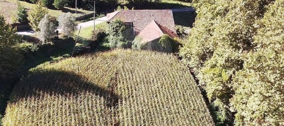 Дом с 1 спальней в Селорику ди Башту, Португалия № 175986 3