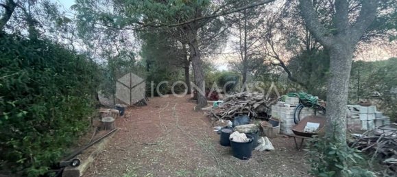 3 rooms Villa in Corato, Italy No. 31453 3