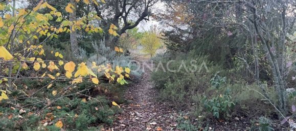 3 rooms Villa in Corato, Italy No. 31453 5