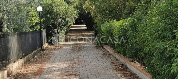 3 rooms Villa in Corato, Italy No. 31453 8