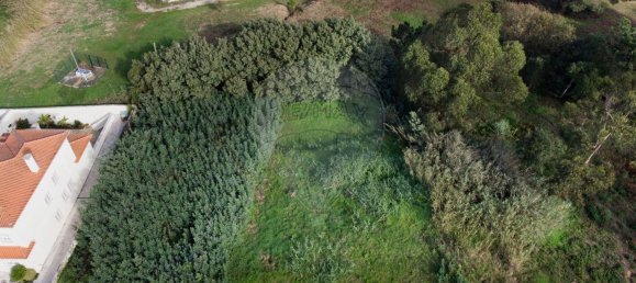 536m² Land in Caldas da Rainha, Portugal No. 91734 4