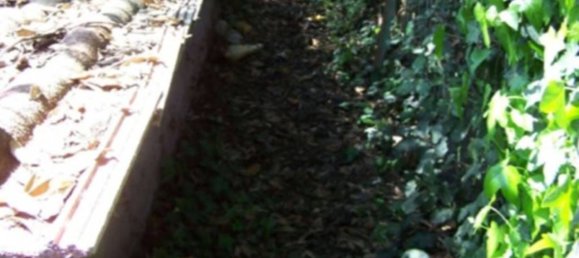 3 rooms Apartment in Valmontone, Italy No. 32465 7