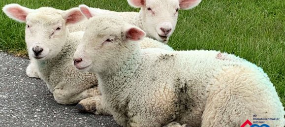 5 chambres Maison à Schleswig-Holstein, Germany No. 23994 31