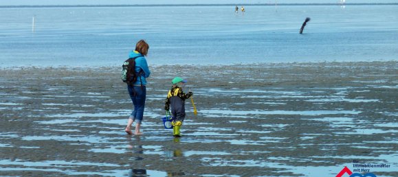 5 chambres Maison à Schleswig-Holstein, Germany No. 23994 33