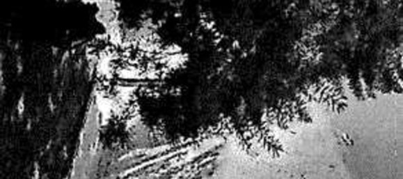 Casa de 10 habitaciónes en Cerveteri, Italy No. 22558 8