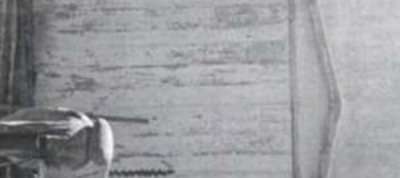 Casa de 10 habitaciónes en Cerveteri, Italy No. 22558 11