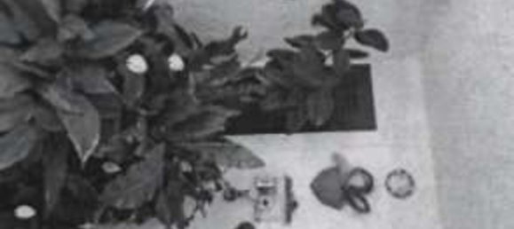 Casa de 10 habitaciónes en Cerveteri, Italy No. 22558 15