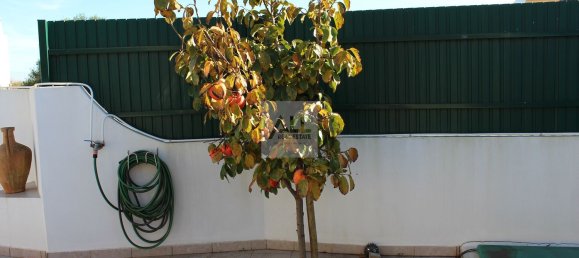 4 chambres Maison à Lagos, Portugal No. 124598 17