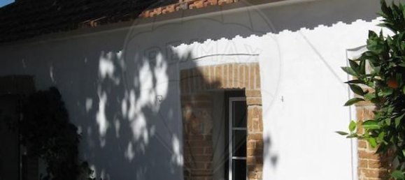 9 bedrooms House in Palmela, Portugal No. 63531 5