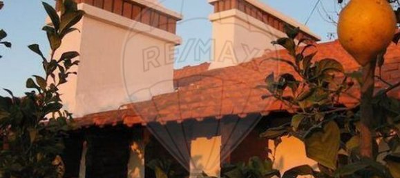 9 bedrooms House in Palmela, Portugal No. 63531 20