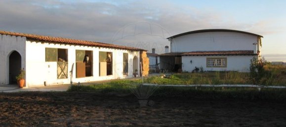 9 bedrooms House in Palmela, Portugal No. 63531 8