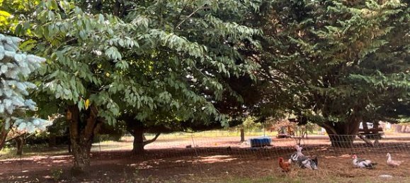 Villa T2 em Chateau-Renault, France N.º 309698 20