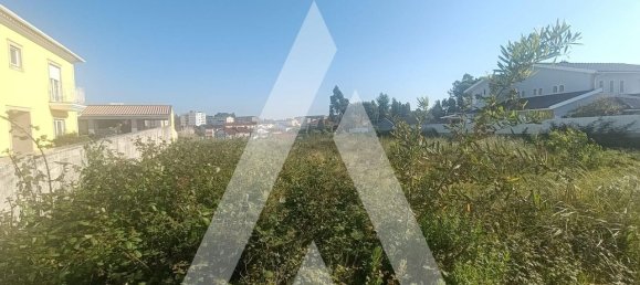 Grundstück in Aveiro, Portugal 2569m², Nr. 280959 5