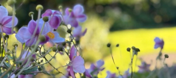 2 bedrooms House in Plon, Germany No. 361573 15